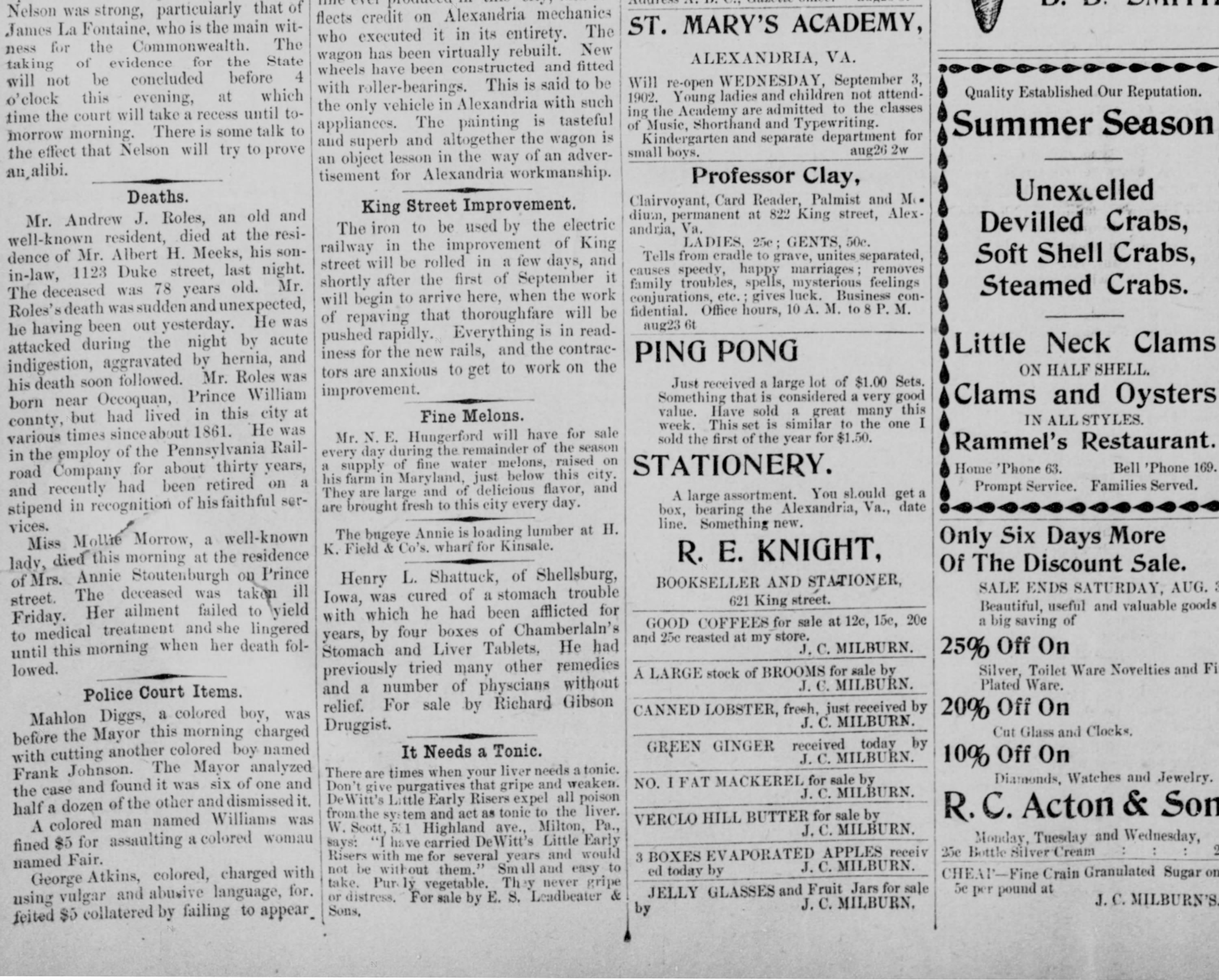 Annie newspaper article