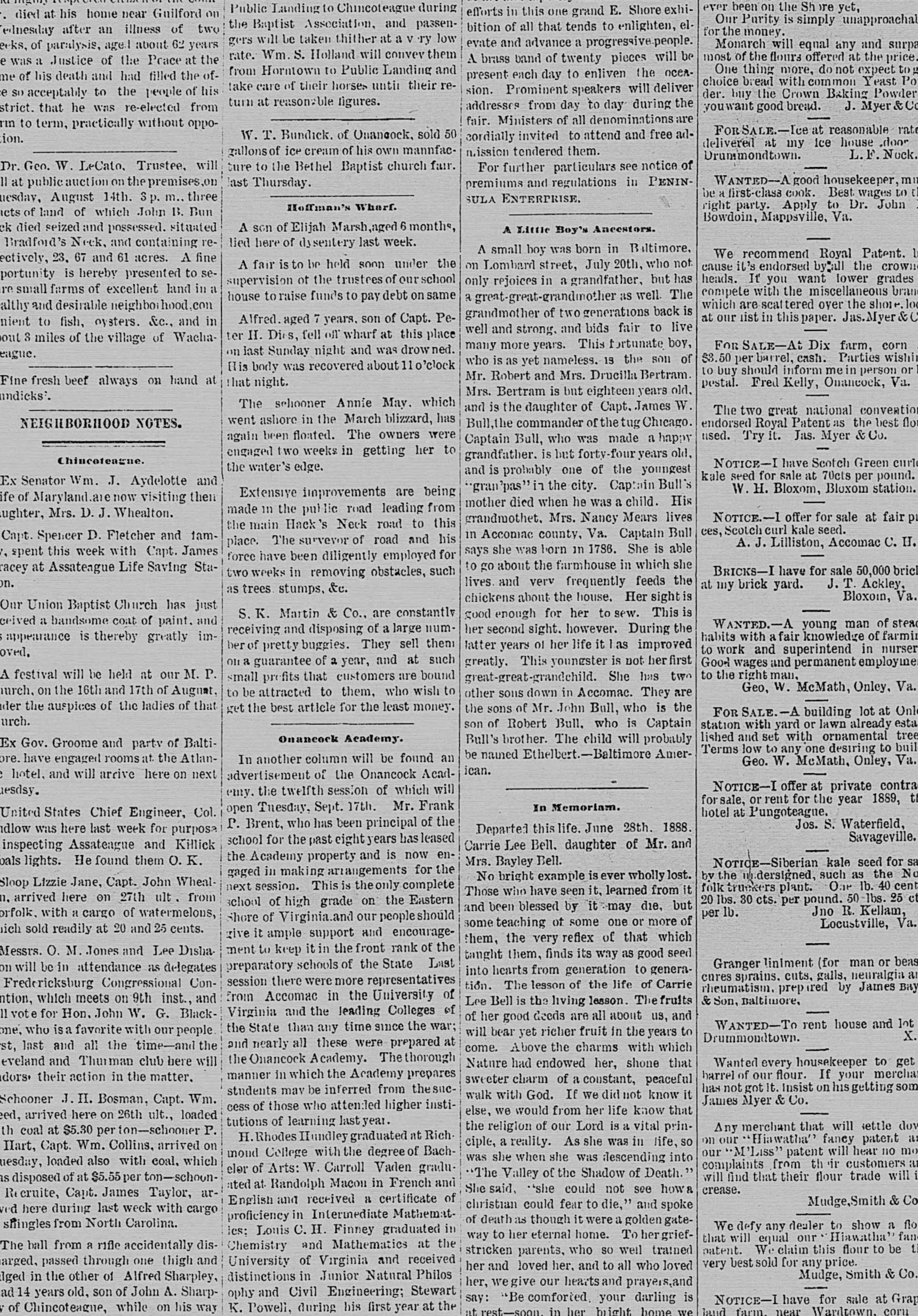 Annie May newspaper article