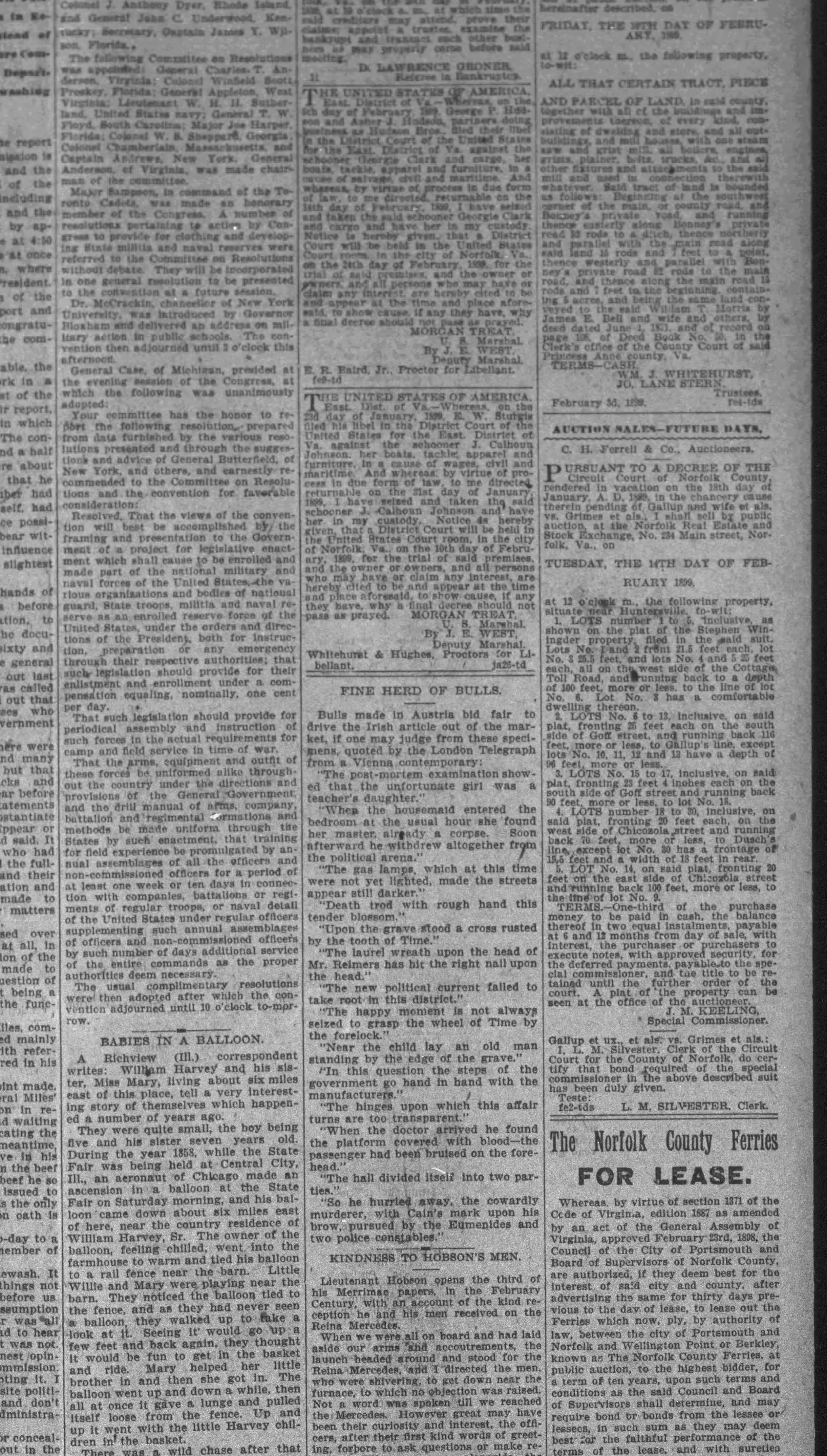 J. Calhoun Johnson newspaper article