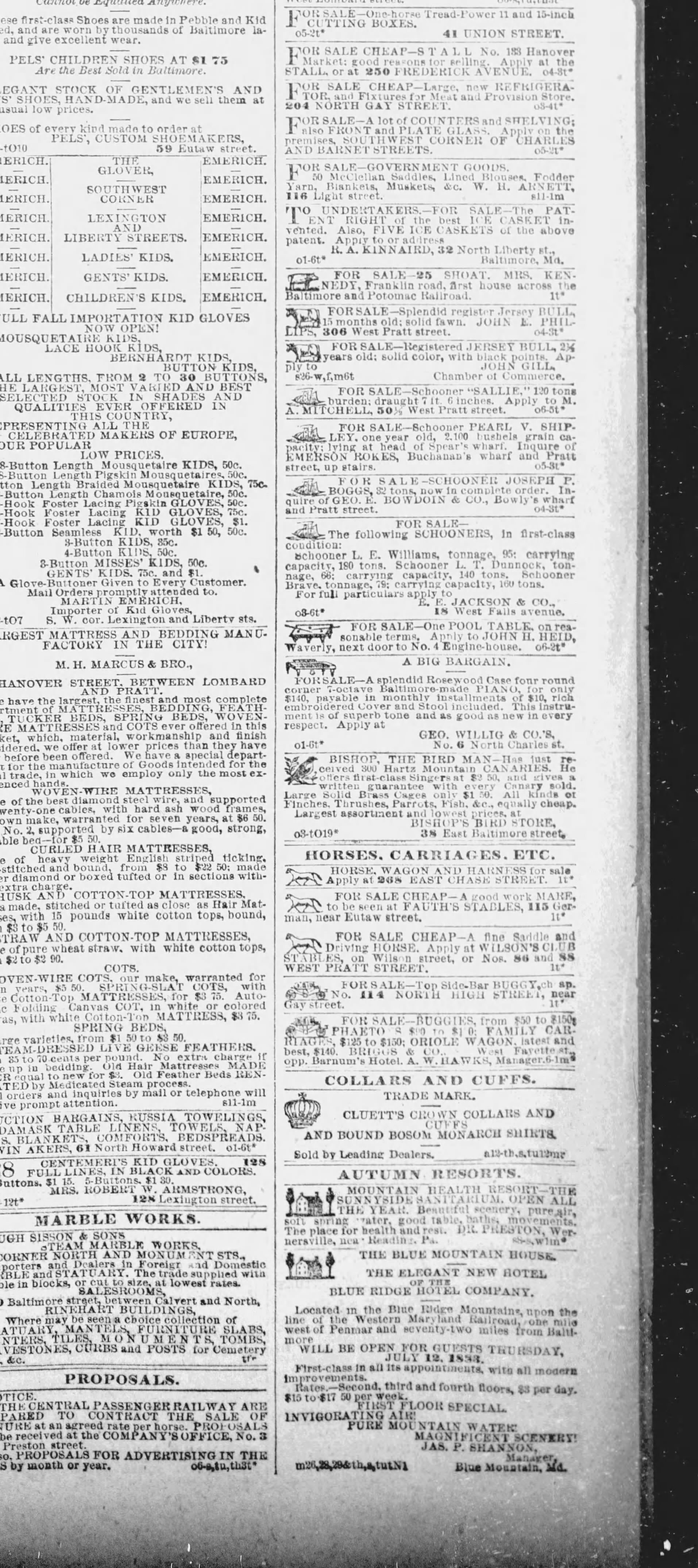 Joseph Boggs newspaper article