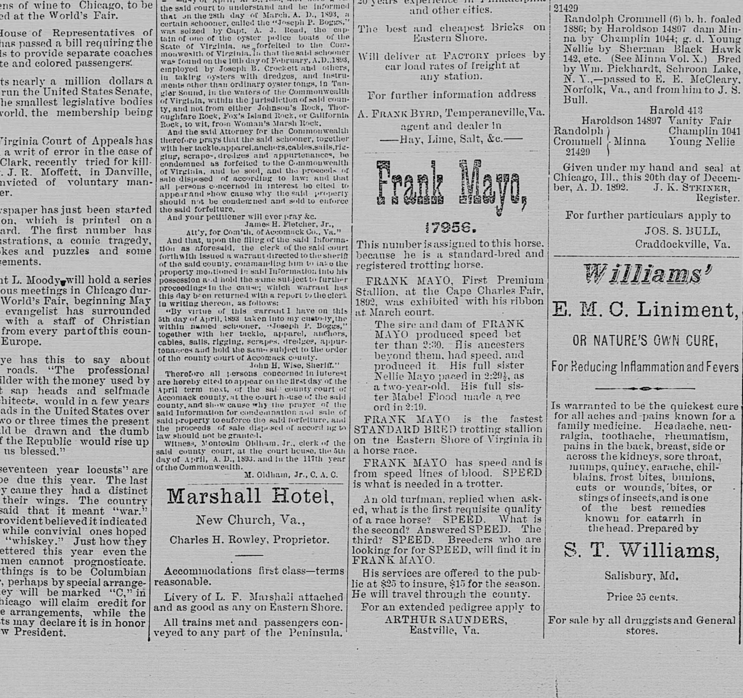 Joseph Boggs newspaper article