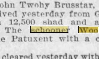 Newspapers.com keyword thumbnail
