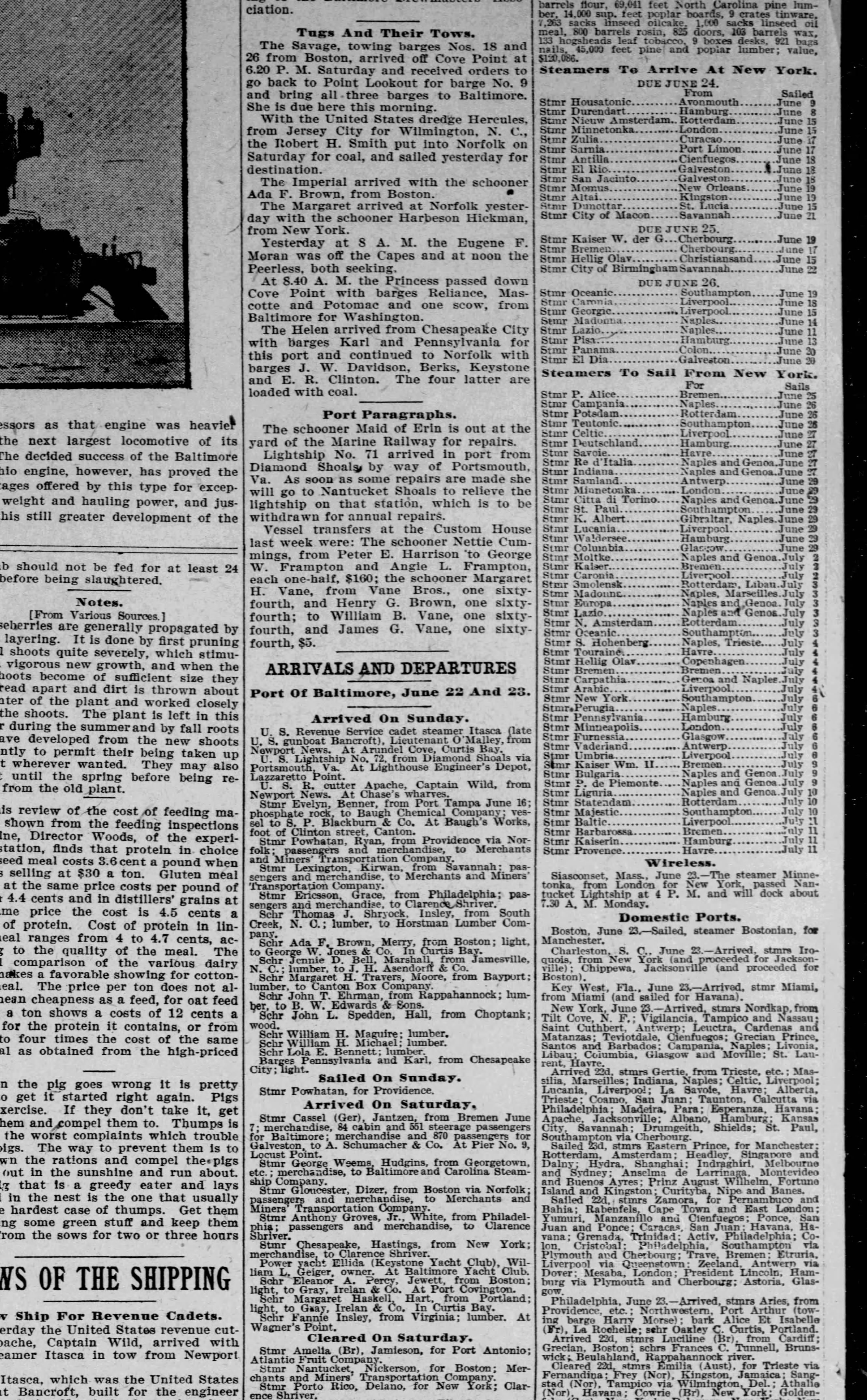 Maid of Erin newspaper article