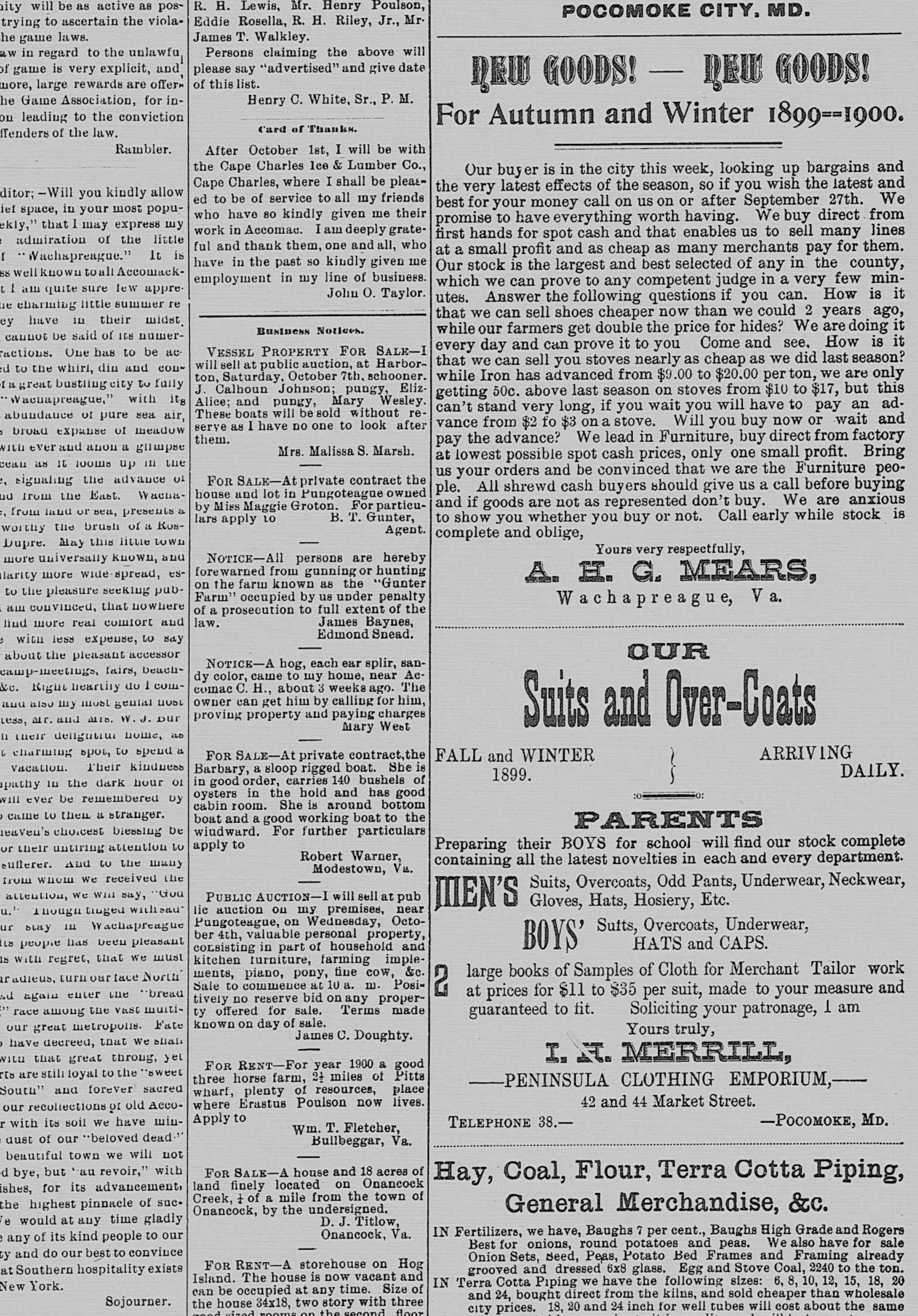 Mary Wesley newspaper article