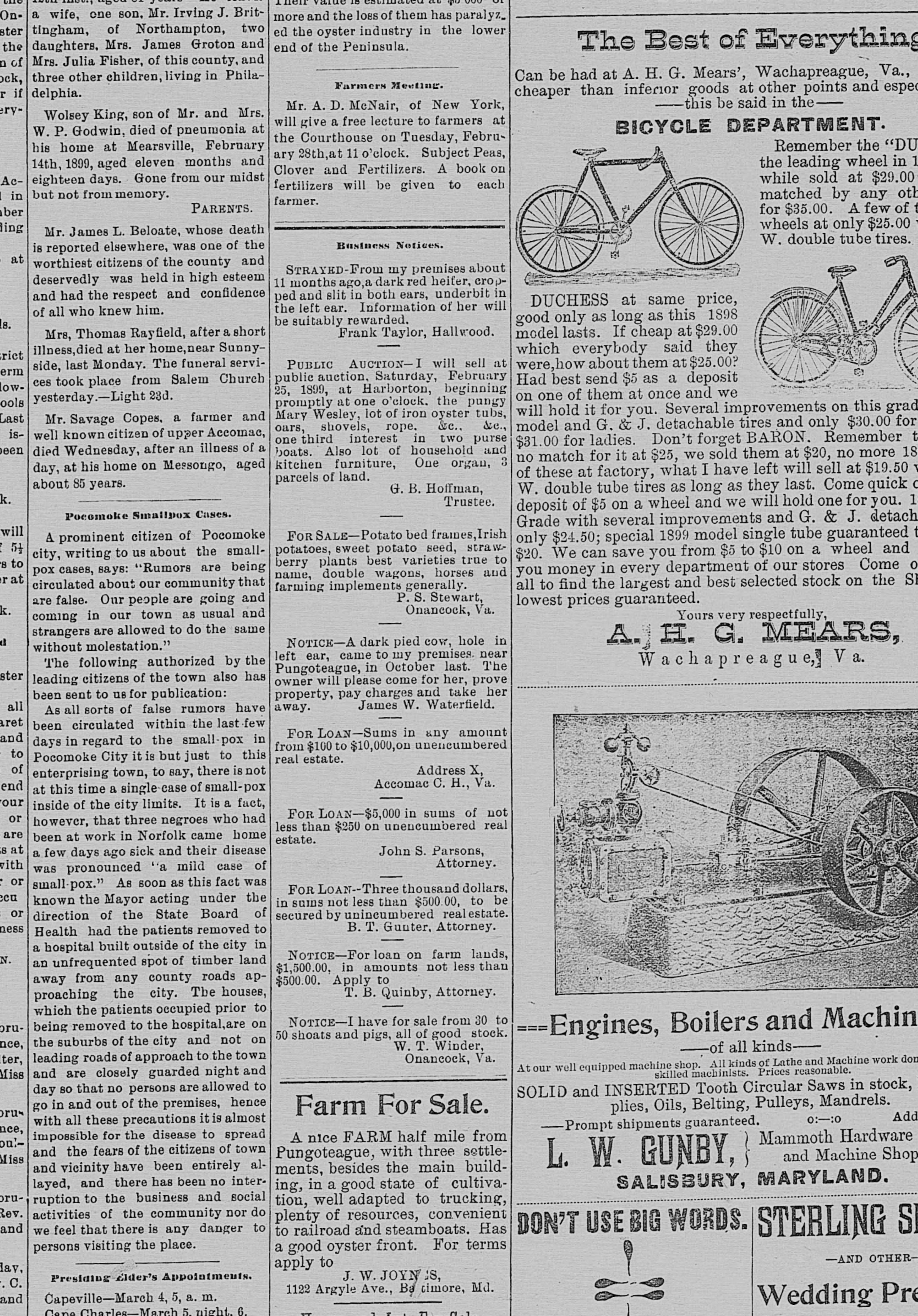 Mary Wesley newspaper article