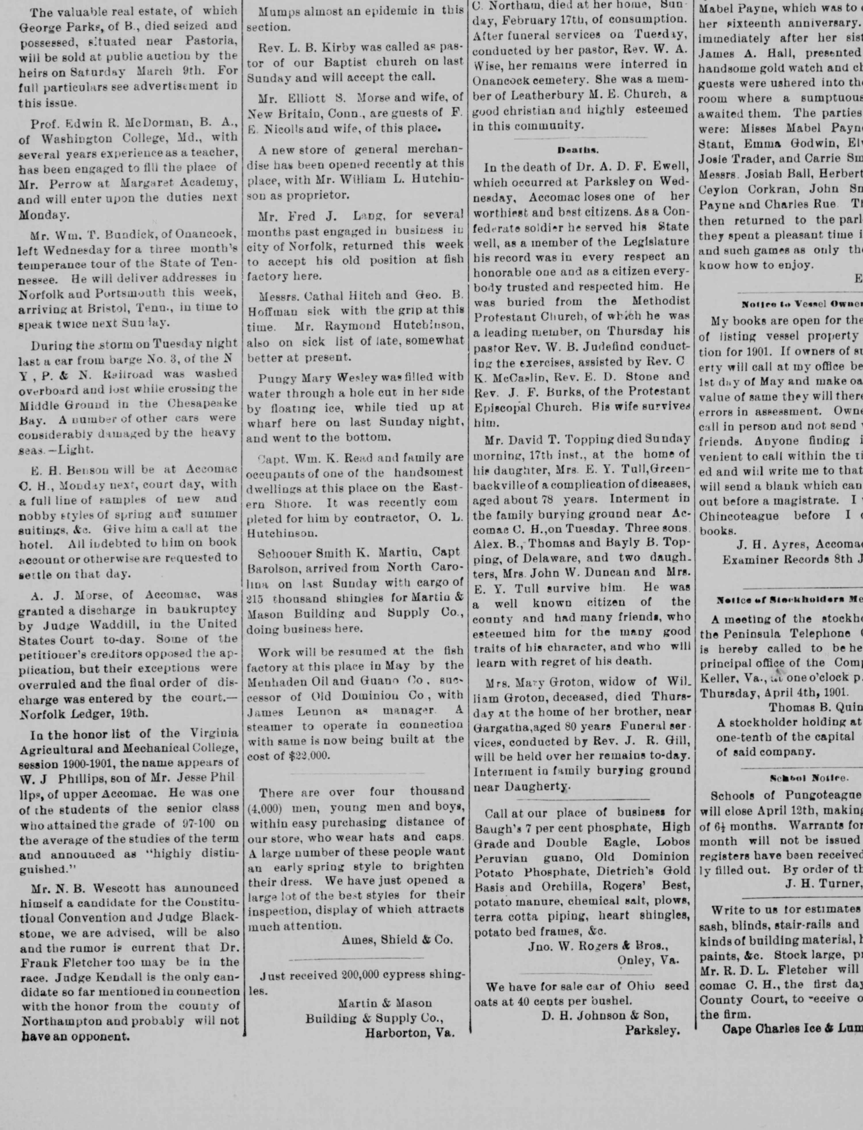 Mary Wesley newspaper article