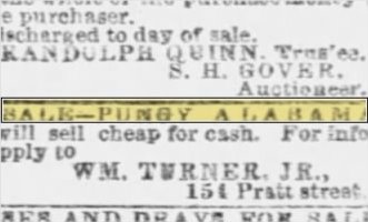 Newspapers.com keyword thumbnail