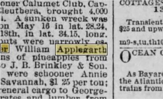 Newspapers.com keyword thumbnail