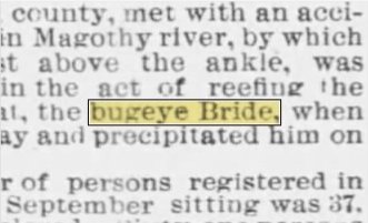 Newspapers.com keyword thumbnail