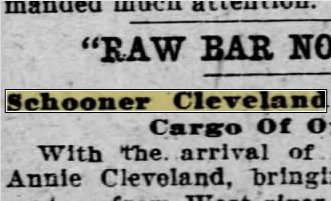 Newspapers.com keyword thumbnail