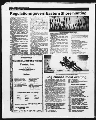 Newspapers.com keyword thumbnail