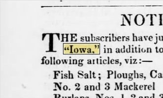 Newspapers.com keyword thumbnail