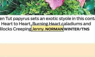 Newspapers.com keyword thumbnail