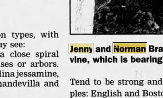 Newspapers.com keyword thumbnail