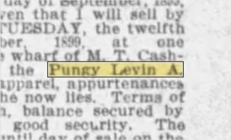 Newspapers.com keyword thumbnail