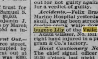 Newspapers.com keyword thumbnail