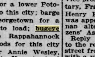 Newspapers.com keyword thumbnail
