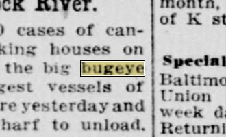 Newspapers.com keyword thumbnail