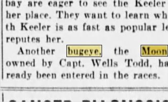 Newspapers.com keyword thumbnail