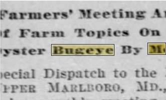Newspapers.com keyword thumbnail