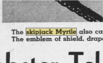 Newspapers.com keyword thumbnail