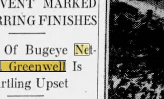 Newspapers.com keyword thumbnail