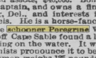 Newspapers.com keyword thumbnail