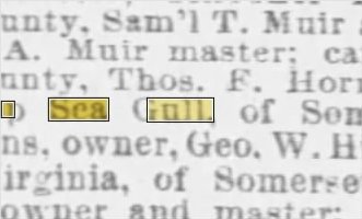 Newspapers.com keyword thumbnail