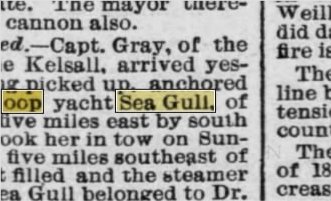 Newspapers.com keyword thumbnail