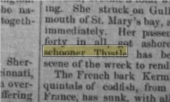 Newspapers.com keyword thumbnail