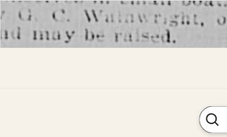 Newspapers.com keyword thumbnail