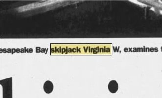 Newspapers.com keyword thumbnail