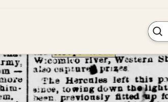 Newspapers.com keyword thumbnail
