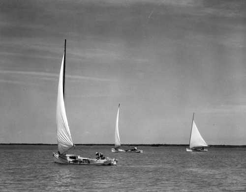 46-391-bodine-jenkins creekers scraping