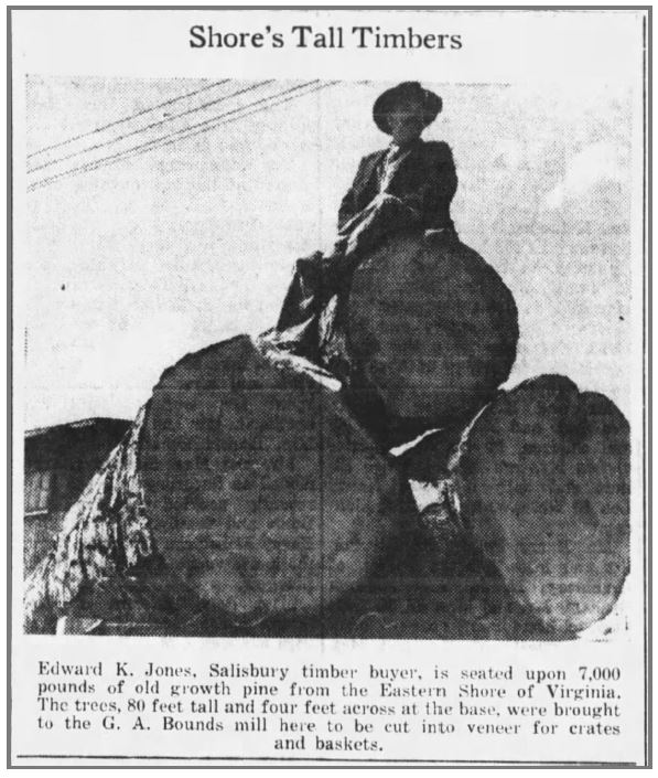 48 in logs 1941
