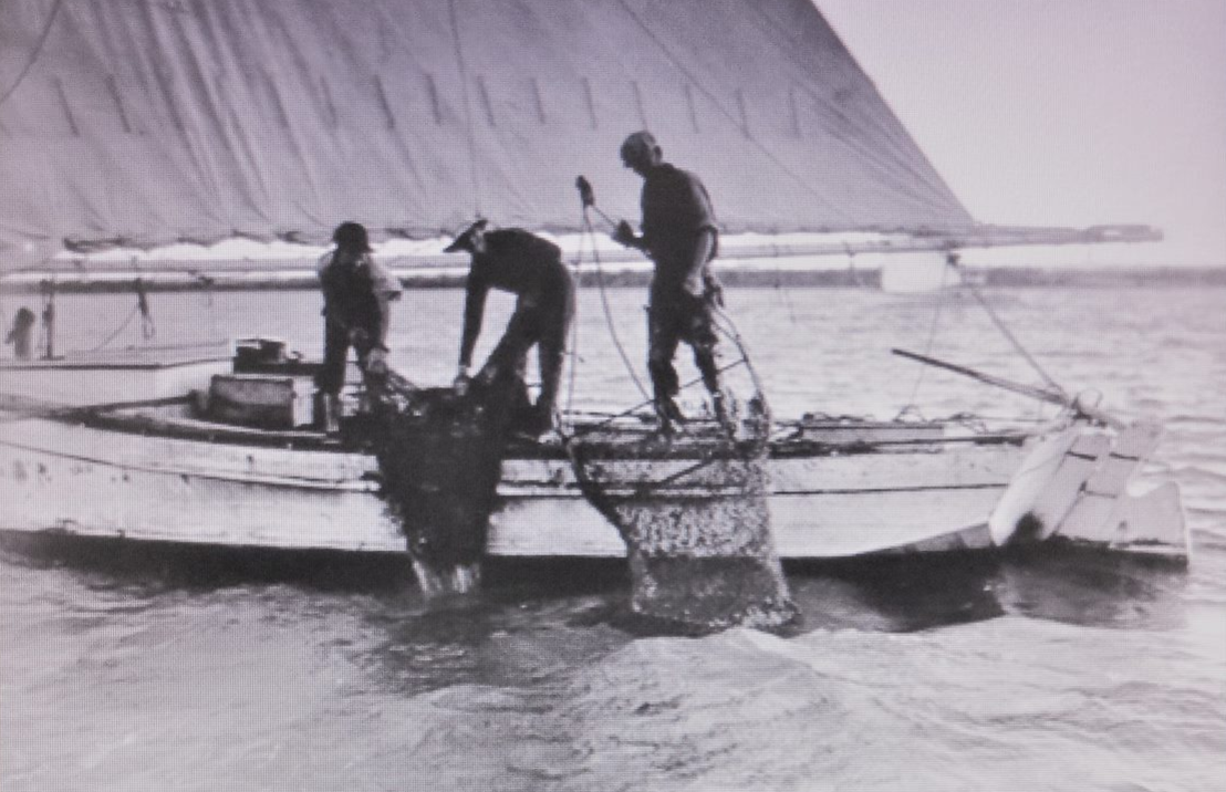 Crab Scraping Under Sail - A Scrapbook of Watermen's Photos and Interviews