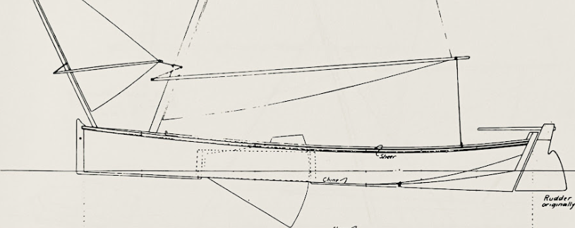 Loblolly Pine in Eastern Shore Sailing Workboats