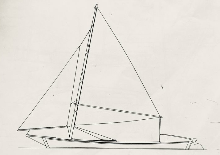 parker mallard sketch