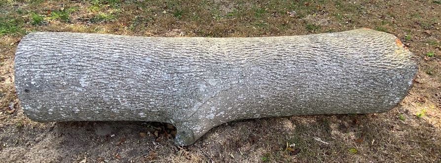 pealiquor hickory bark