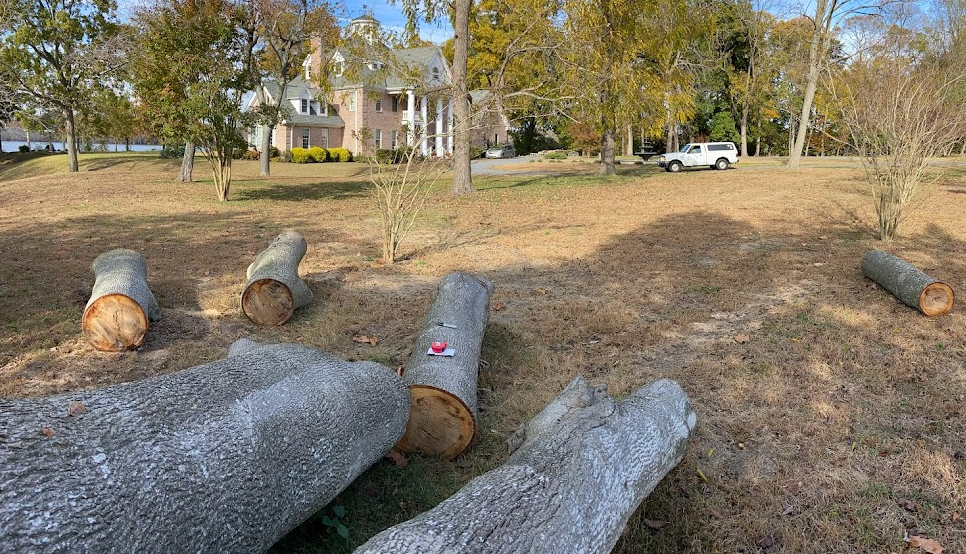 pealiquor hickory four logs