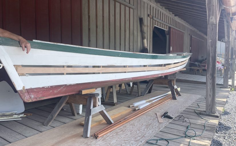 July 1, 2025 | Cinnamon Girl:  Spiling the repair plank